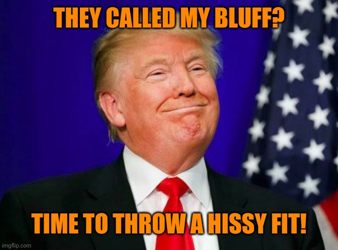 smug Trump | THEY CALLED MY BLUFF? TIME TO THROW A HISSY FIT! | image tagged in smug trump | made w/ Imgflip meme maker