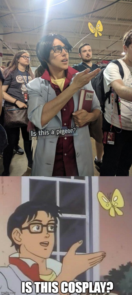 PERFECT | IS THIS COSPLAY? | image tagged in memes,is this a pigeon,cosplay | made w/ Imgflip meme maker