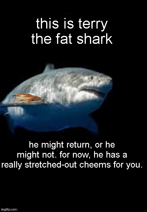 thank you terry :) | this is terry the fat shark; he might return, or he might not. for now, he has a really stretched-out cheems for you. | image tagged in terry the fat shark template | made w/ Imgflip meme maker