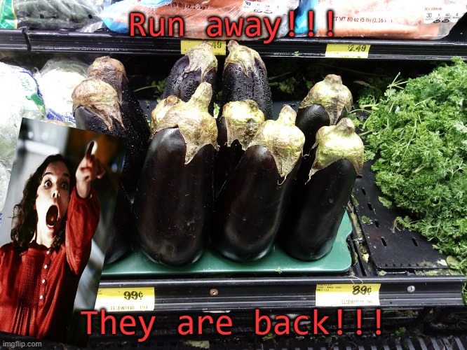 They are back! |  Run away!!! They are back!!! | image tagged in eggs,science fiction,spooky,creepy,aliens,plants | made w/ Imgflip meme maker