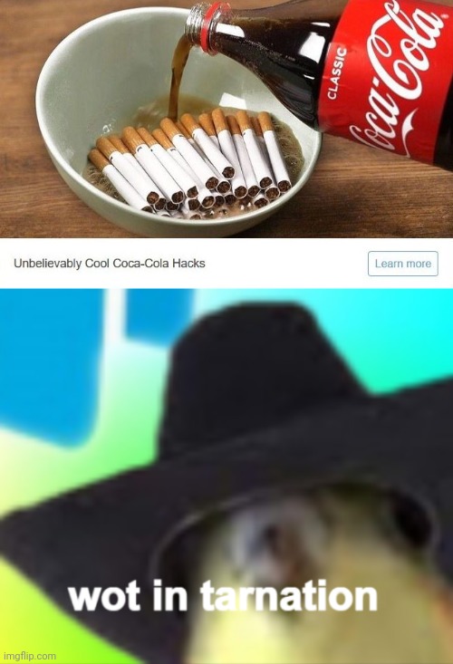 Coca-Cola cigarettes | image tagged in cockatiel wot in tarnation,coca-cola,cocacola,cigarettes,memes,cursed image | made w/ Imgflip meme maker
