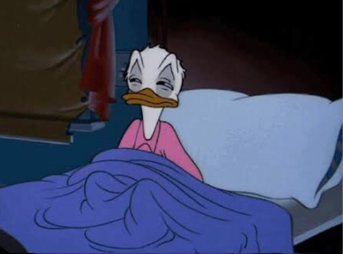 High Quality donald duck waking up Blank Meme Template