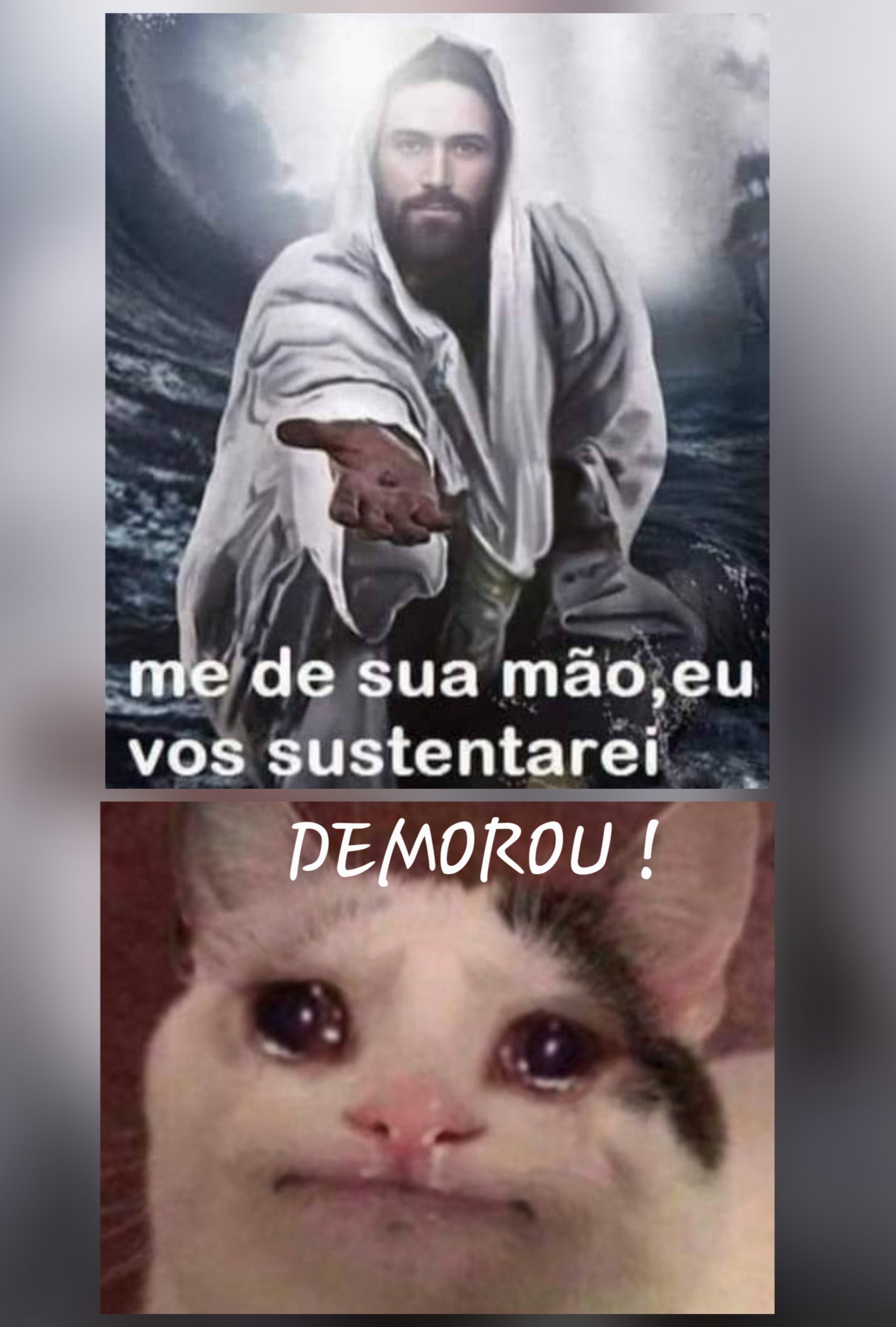 DEMOROU Blank Meme Template