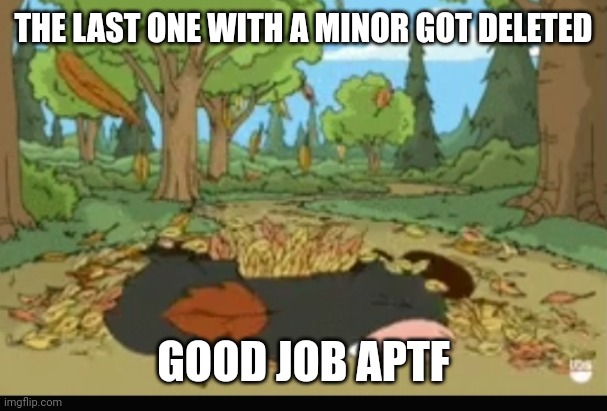 THE LAST ONE WITH A MINOR GOT DELETED; GOOD JOB APTF | image tagged in dead girdifrni | made w/ Imgflip meme maker