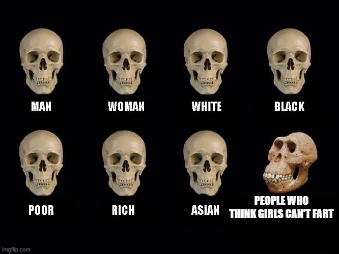 empty skulls of truth | PEOPLE WHO THINK GIRLS CAN'T FART | image tagged in empty skulls of truth | made w/ Imgflip meme maker