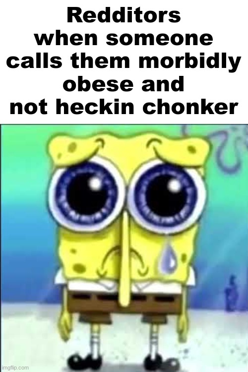 ): | Redditors when someone calls them morbidly obese and not heckin chonker | image tagged in sad spongebob,memes,spunchbop | made w/ Imgflip meme maker