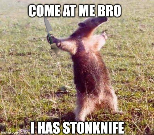 Come At Me Bro | COME AT ME BRO I HAS STONKNIFE | image tagged in come at me bro | made w/ Imgflip meme maker