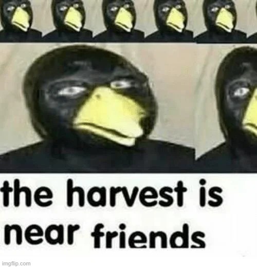 The harvest is near friends | image tagged in the harvest is near friends | made w/ Imgflip meme maker