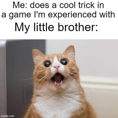 I'm good at Super Mario 3D World, my brother's good at Mario Kart Deluxe, so I'd say it's fair |  Me: does a cool trick in a game I'm experienced with; My little brother: | image tagged in amazed cat | made w/ Imgflip meme maker