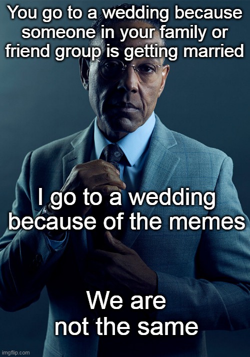 it's true bruh | You go to a wedding because someone in your family or friend group is getting married; I go to a wedding because of the memes; We are not the same | image tagged in gus fring we are not the same | made w/ Imgflip meme maker