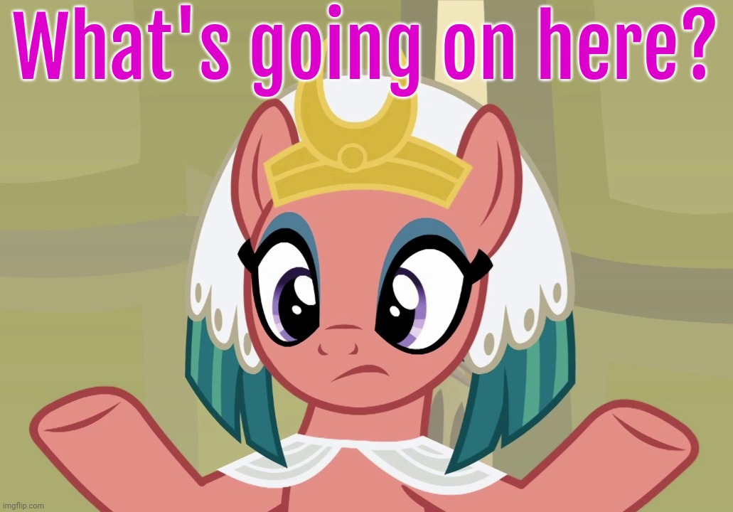 Concerned Somnambula (MLP) | What's going on here? | image tagged in concerned somnambula mlp | made w/ Imgflip meme maker