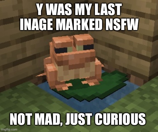 n o r m a n. | Y WAS MY LAST INAGE MARKED NSFW; NOT MAD, JUST CURIOUS | image tagged in n o r m a n | made w/ Imgflip meme maker