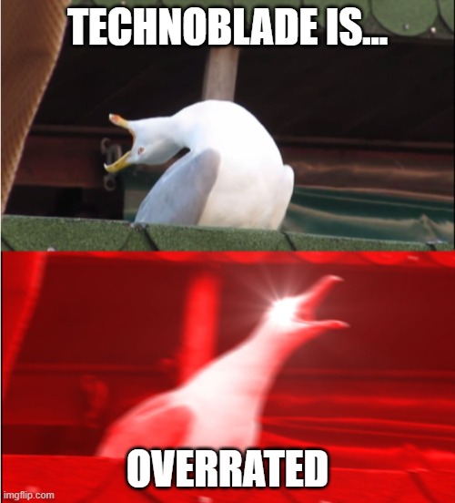 OVERRATED | TECHNOBLADE IS... OVERRATED | image tagged in technoblade,overrated | made w/ Imgflip meme maker