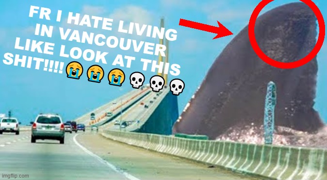 Vancouver | FR I HATE LIVING IN VANCOUVER LIKE LOOK AT THIS SHIT!!!!😭😭😭💀💀💀 | image tagged in canada,meanwhile in canada,memes | made w/ Imgflip meme maker