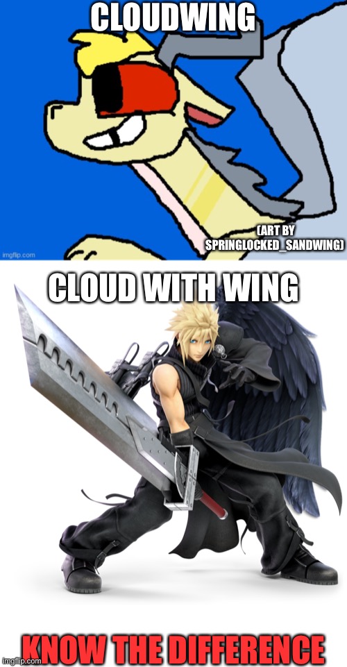Posting here since they followed this stream, I fixed it | CLOUDWING; (ART BY SPRINGLOCKED_SANDWING); CLOUD WITH WING; KNOW THE DIFFERENCE | made w/ Imgflip meme maker