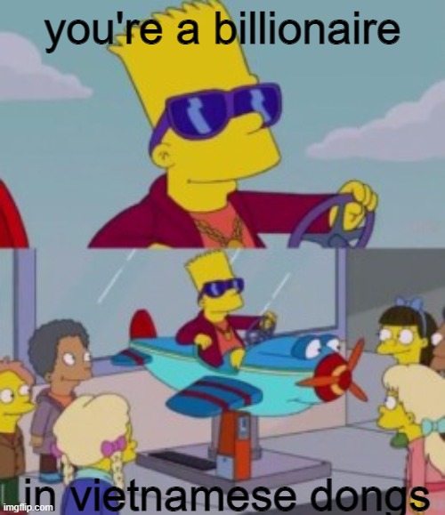 currency | you're a billionaire; in vietnamese dongs | image tagged in bart in kid plane ride,memes | made w/ Imgflip meme maker