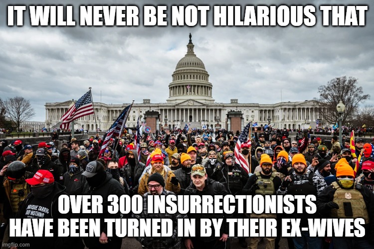 JAN 6TH | IT WILL NEVER BE NOT HILARIOUS THAT; OVER 300 INSURRECTIONISTS HAVE BEEN TURNED IN BY THEIR EX-WIVES | image tagged in insurrectionists,ex-wives,jan 6th trump rally | made w/ Imgflip meme maker