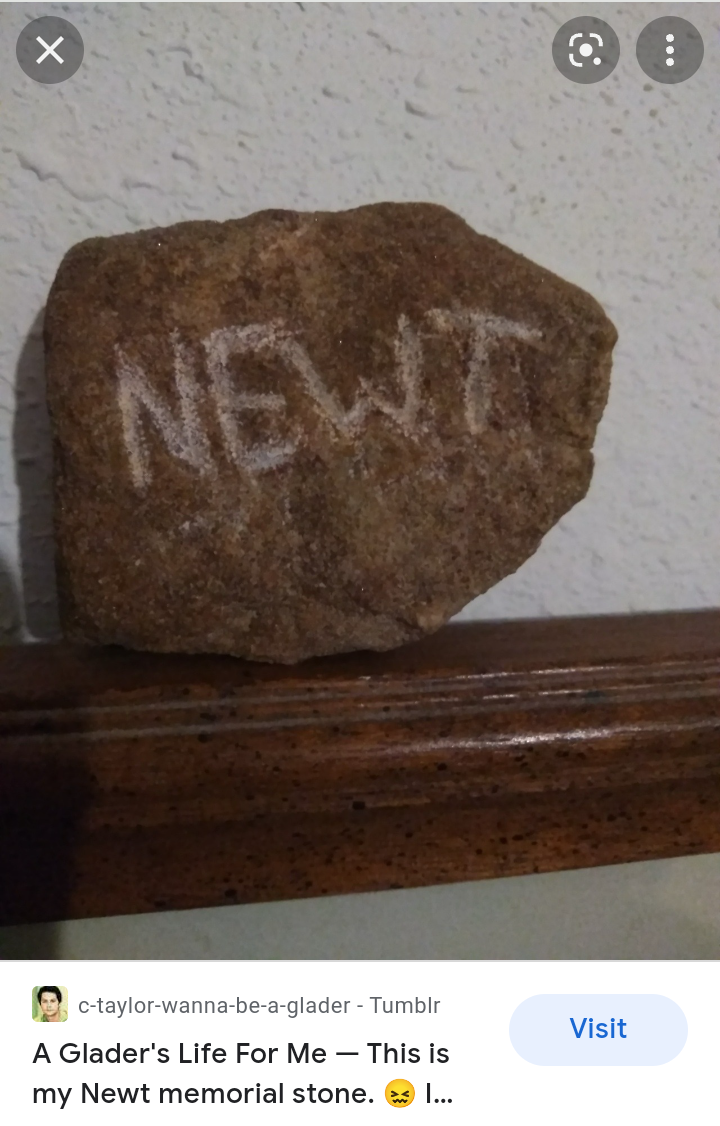High Quality Newt Maze Runner memorial stone Blank Meme Template