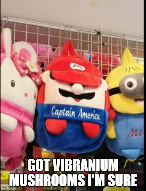 Captain Mario | GOT VIBRANIUM MUSHROOMS I'M SURE | image tagged in you had one job | made w/ Imgflip meme maker