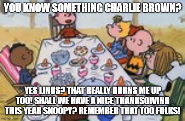 charlie brown thanksgiving | YOU KNOW SOMETHING CHARLIE BROWN? YES LINUS? THAT REALLY BURNS ME UP TOO! SHALL WE HAVE A NICE THANKSGIVING THIS YEAR SNOOPY? REMEMBER THAT  | image tagged in charlie brown thanksgiving | made w/ Imgflip meme maker