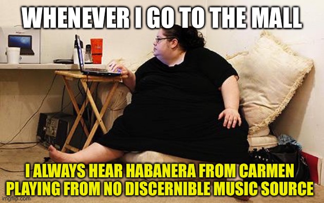 Fat Lady Shopping Theme | WHENEVER I GO TO THE MALL; I ALWAYS HEAR HABANERA FROM CARMEN PLAYING FROM NO DISCERNIBLE MUSIC SOURCE | image tagged in obese woman at computer,memes,fat,mall,shopping,music | made w/ Imgflip meme maker