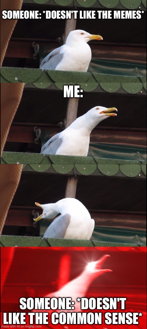 Inhaling Seagull Meme | SOMEONE: *DOESN'T LIKE THE MEMES*; ME:; SOMEONE: *DOESN'T LIKE THE COMMON SENSE* | image tagged in memes,inhaling seagull | made w/ Imgflip meme maker