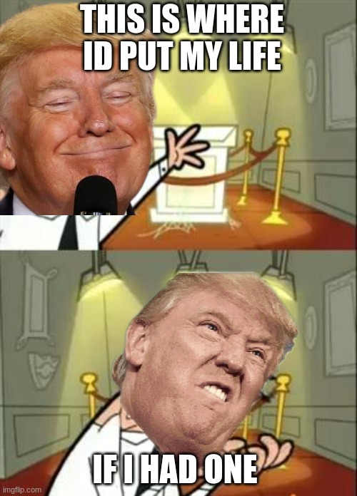 donald dump | THIS IS WHERE ID PUT MY LIFE; IF I HAD ONE | image tagged in funny | made w/ Imgflip meme maker