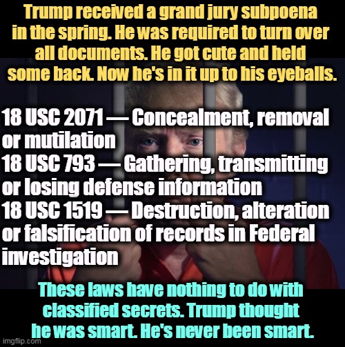 Thinking you're smart and being smart are two different things. | Trump received a grand jury subpoena 
in the spring. He was required to turn over 
all documents. He got cute and held 
some back. Now he's in it up to his eyeballs. 18 USC 2071 — Concealment, removal 
or mutilation
18 USC 793 — Gathering, transmitting 
or losing defense information
18 USC 1519 — Destruction, alteration 
or falsification of records in Federal 
investigation; These laws have nothing to do with 
classified secrets. Trump thought 
he was smart. He's never been smart. | image tagged in trump in jail,trump,cute,stupid,guilty,criminal | made w/ Imgflip meme maker