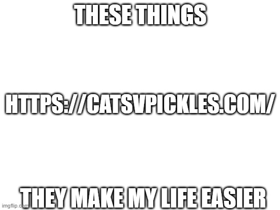 aaaaaaaaa | THESE THINGS; HTTPS://CATSVPICKLES.COM/; THEY MAKE MY LIFE EASIER | image tagged in blank white template | made w/ Imgflip meme maker