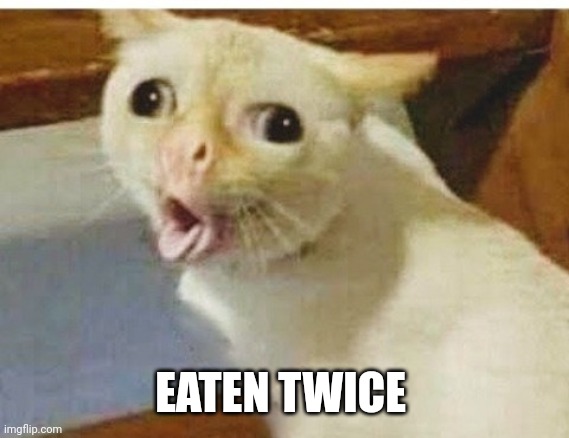 Cat vomiting lol | EATEN TWICE | image tagged in cat vomiting lol | made w/ Imgflip meme maker