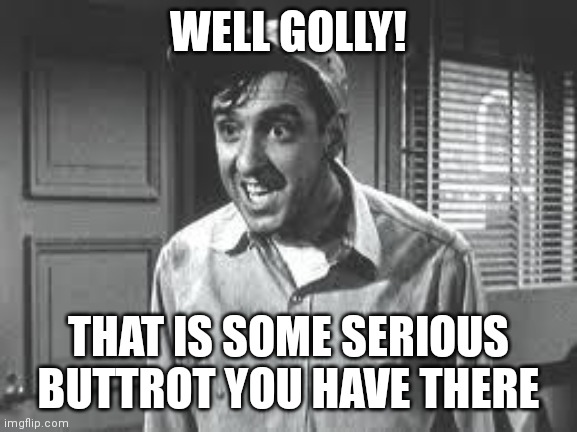 Gomer Pyle | WELL GOLLY! THAT IS SOME SERIOUS BUTTROT YOU HAVE THERE | image tagged in gomer pyle | made w/ Imgflip meme maker