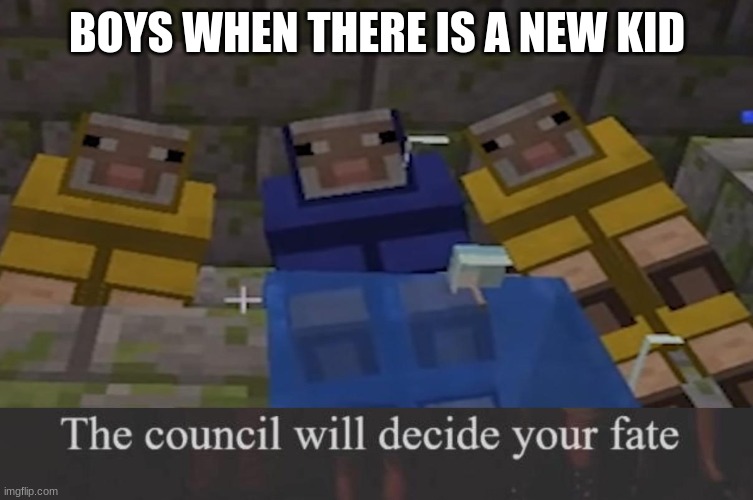 The council will decide your fate | BOYS WHEN THERE IS A NEW KID | image tagged in the council will decide your fate,minecraft | made w/ Imgflip meme maker