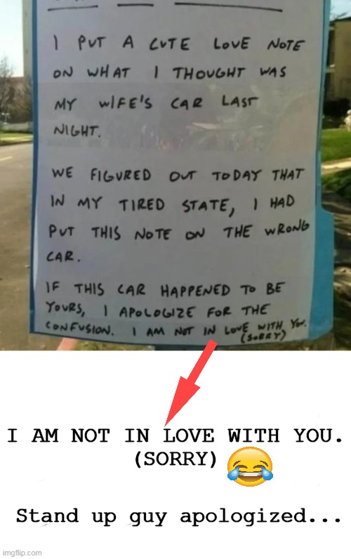 Stand Up Guy |  I AM NOT IN LOVE WITH YOU.
(SORRY); Stand up guy apologized... | image tagged in fun,it could be worse,lol,funny,something s wrong,cute note | made w/ Imgflip meme maker
