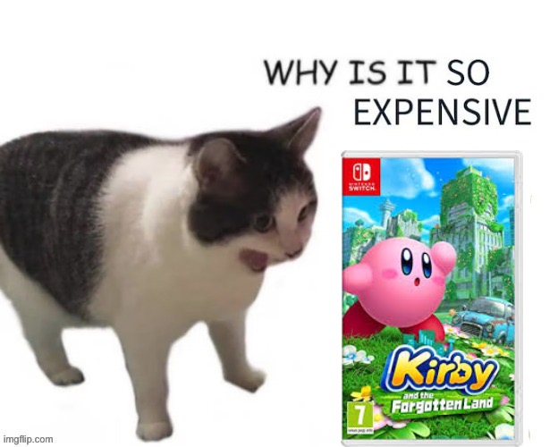 WHY IS IT SO EXPENSIVE | image tagged in why is it so expensive | made w/ Imgflip meme maker