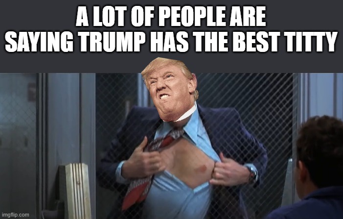 A LOT OF PEOPLE ARE SAYING TRUMP HAS THE BEST TITTY | image tagged in trump has the best titty,politics,funny | made w/ Imgflip meme maker