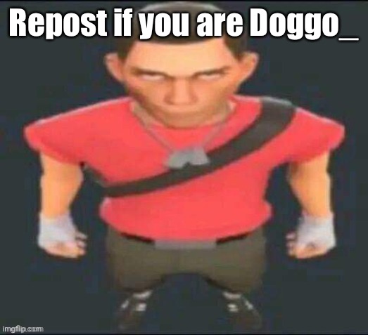 There you go | Repost if you are Doggo_ | image tagged in scout but i saved it so i don t forget | made w/ Imgflip meme maker