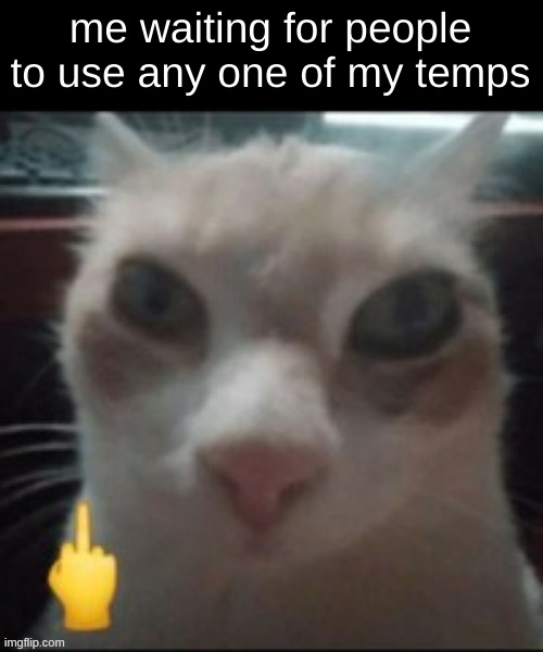 ignore the middle finger i just wanted the cat face | me waiting for people to use any one of my temps | image tagged in cat f you | made w/ Imgflip meme maker