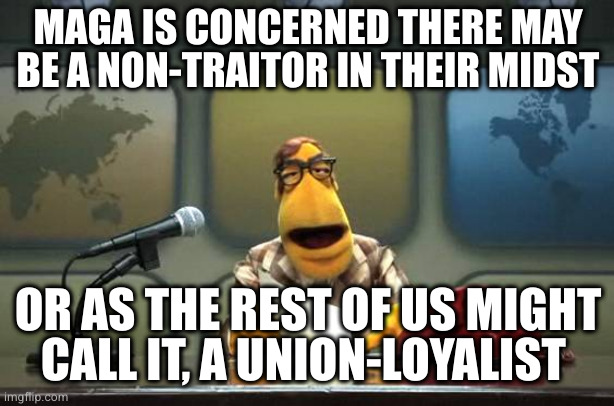 Muppet News Flash | MAGA IS CONCERNED THERE MAY BE A NON-TRAITOR IN THEIR MIDST; OR AS THE REST OF US MIGHT
CALL IT, A UNION-LOYALIST | image tagged in muppet news flash | made w/ Imgflip meme maker