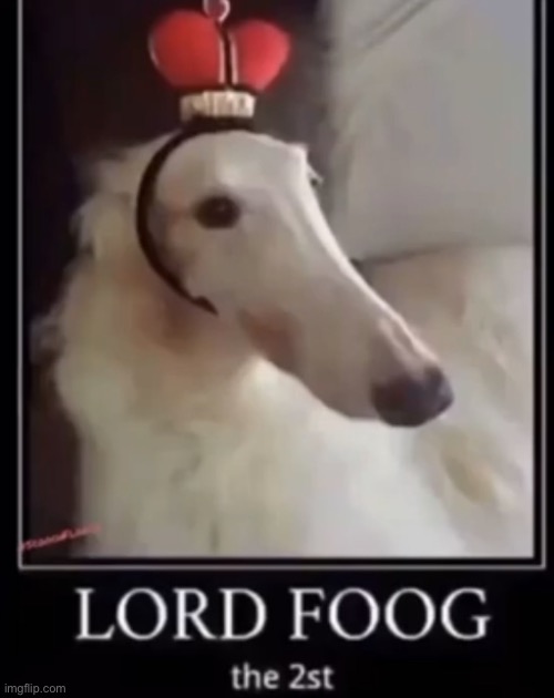 Lord foog the 2st | image tagged in lord foog the 2st | made w/ Imgflip meme maker