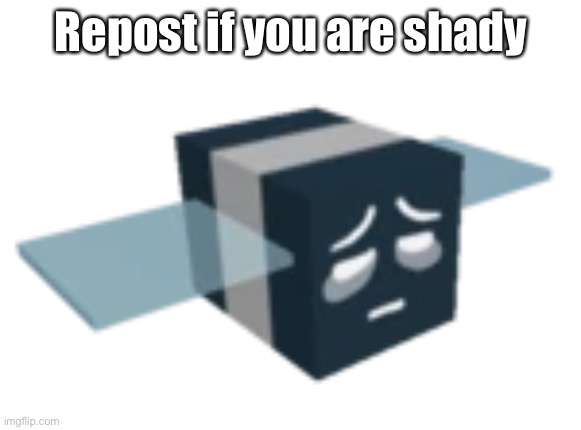 B |  Repost if you are shady | made w/ Imgflip meme maker