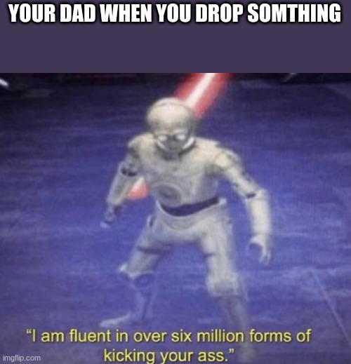 *screams* | YOUR DAD WHEN YOU DROP SOMTHING | image tagged in i am fluent in over six million forms of kicking your ass | made w/ Imgflip meme maker