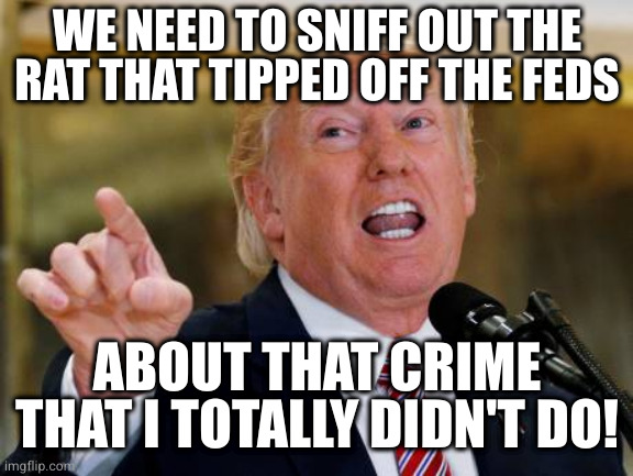 I blame both sides!  | WE NEED TO SNIFF OUT THE RAT THAT TIPPED OFF THE FEDS; ABOUT THAT CRIME THAT I TOTALLY DIDN'T DO! | image tagged in i blame both sides | made w/ Imgflip meme maker