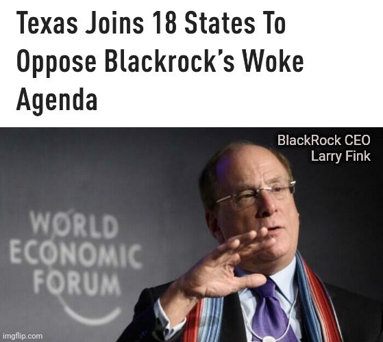 Need more states on board. | BlackRock CEO
Larry Fink | image tagged in memes | made w/ Imgflip meme maker