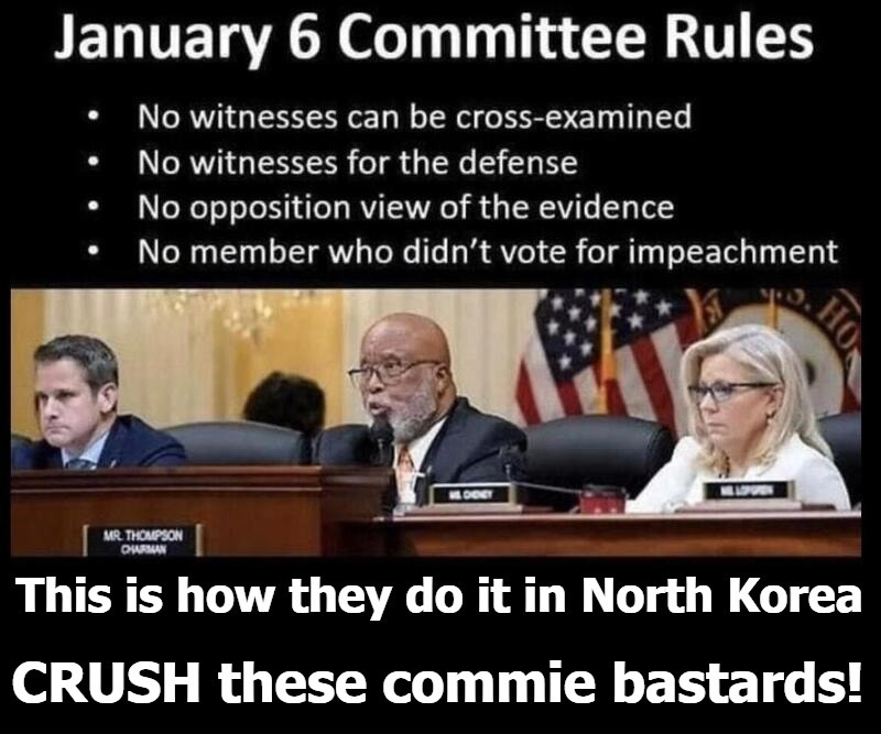 This is How They do it in North Korea | image tagged in crush the commies,rule of law,j6,january 6 political prisoners | made w/ Imgflip meme maker