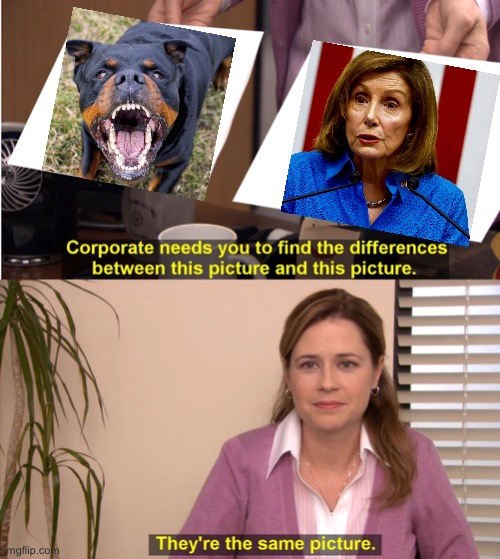 Vicious | image tagged in memes,they're the same picture,vicious,nancy,rottweiler | made w/ Imgflip meme maker