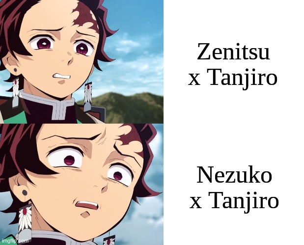 Its actually gross, but if you haven't watched Demon Slayer than i'm not gonna go off on you :) | Zenitsu x Tanjiro; Nezuko x Tanjiro | image tagged in tanjiro disgusted to even more disgusted,nezuko x tanjiro is so gross,ew,wtf | made w/ Imgflip meme maker