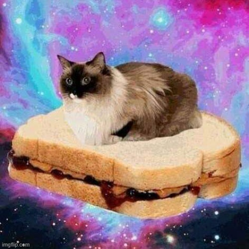 Peanut Butter and Jelly Cat in space | image tagged in peanut butter and jelly cat in space | made w/ Imgflip meme maker