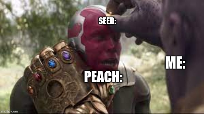 Hmm |  SEED:; ME:; PEACH: | image tagged in vision,thanos,marvel,peach | made w/ Imgflip meme maker