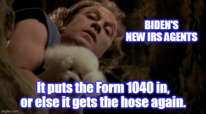 What is wrong with these people? 87,000 new agents?! | BIDEN'S NEW IRS AGENTS; It puts the Form 1040 in, or else it gets the hose again. | image tagged in democratic socialism,police state,let's raise their taxes,stupid liberals | made w/ Imgflip meme maker