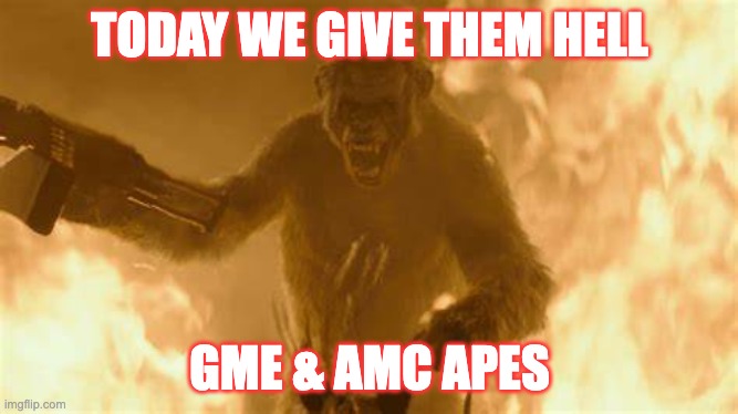 WE ARE ONE ARMY | TODAY WE GIVE THEM HELL; GME & AMC APES | image tagged in amc,gme,reddit,silverback | made w/ Imgflip meme maker
